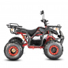 Электроквадроцикл WHITE SIBERIA SNEG PRO 3000W