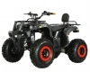 Электрический квадроцикл IKINGI Raider 60V 3000W
