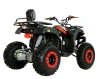 Электрический квадроцикл IKINGI Raider 60V 3000W